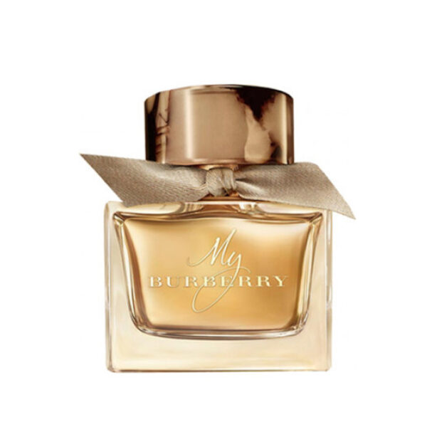 My Burberry 1